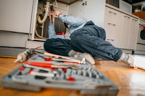 Best Drain Cleaning Services  in Carbondale, IL