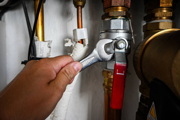 Best Affordable Plumbing Services  in Carbondale, IL